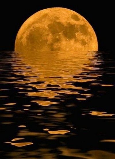 Moon Floating Dreams